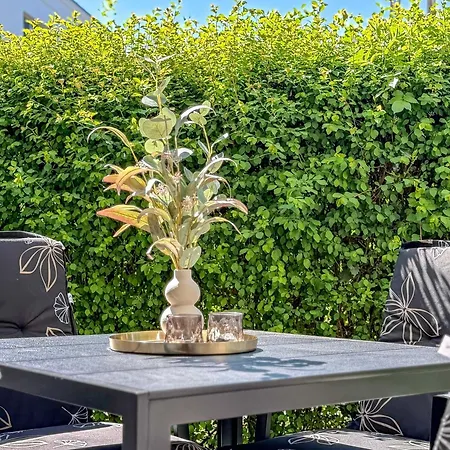 Stranddistel 4 Apartamento Zingst